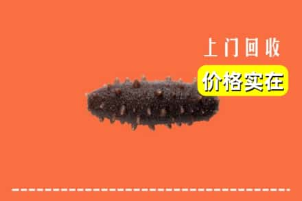 周口项城市回收海参